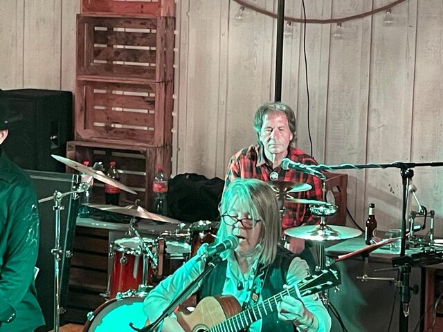 Gitarre und Gesang am Mikrofon